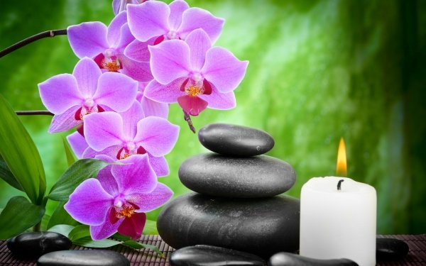 Religious Zen Light Leaf Orchid Flower Candle HD Wallpaper | Background Image