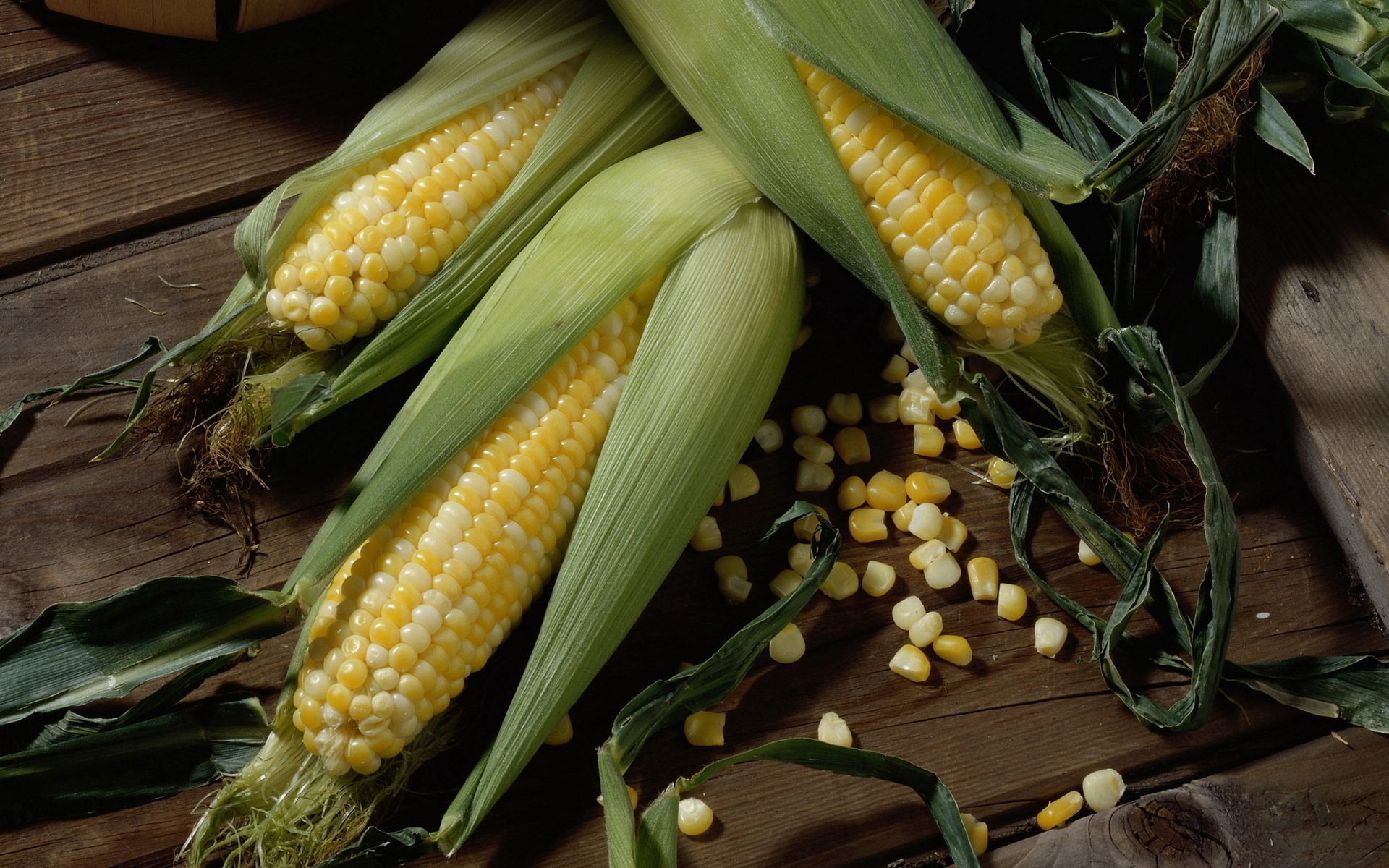 Corn на русском. Кукуруза Маис. ДКС 4014 гибрид кукурузы. Масличная кукуруза. Зерновка кукурузы.