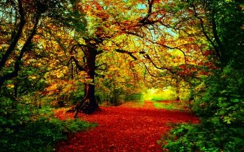 HD Wallpaper | Background Image ID:444086