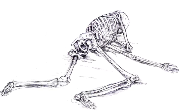 dark skeleton HD Desktop Wallpaper | Background Image