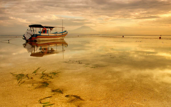 A serene boat rests on calm waters as the sun sets over a tranquil Mexican landscape, reflecting vibrant colors on the golden sand and highlighting underwater marine life.