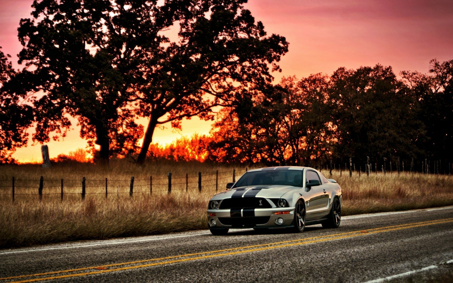 Ford Mustang Shelby GT500 HD Wallpaper - Power Meets Sunset