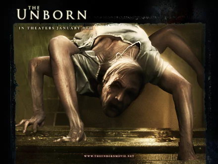 movie the unborn HD Desktop Wallpaper | Background Image