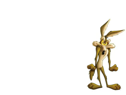  wile e coyote