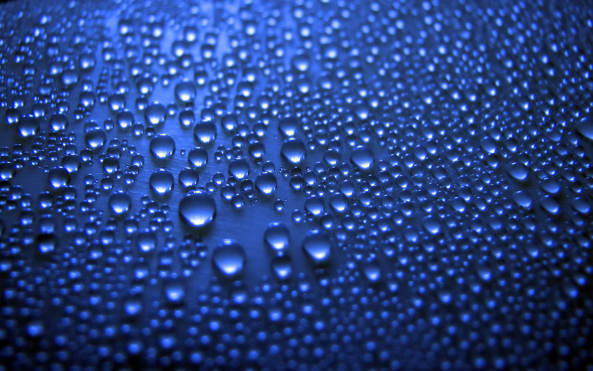Raindrops Full HD Wallpaper and Background Image 