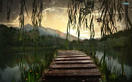  dock