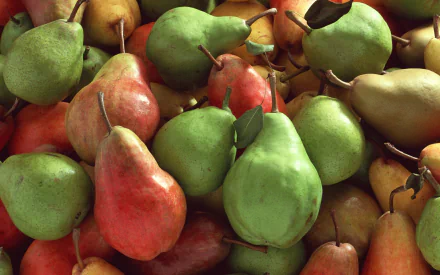food pear HD Desktop Wallpaper | Background Image