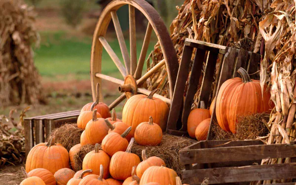 HD PC desktop wallpaper showcasing a rustic autumn scene with vibrant orange pumpkins arranged on hay bales and wooden crates, accented by a vintage wagon wheel.
