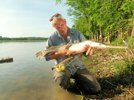 HD desktop wallpaper from the TV show River Monsters, featuring a fisherman holding a large fish by a riverbank surrounded by trees.