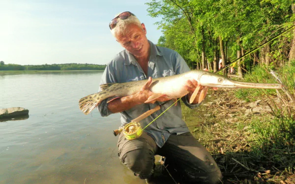 HD desktop wallpaper from the TV show River Monsters, featuring a fisherman holding a large fish by a riverbank surrounded by trees.