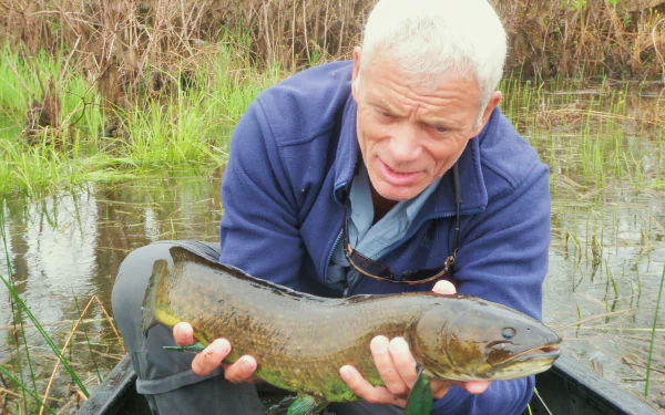 HD desktop wallpaper featuring a scene from the TV show River Monsters, showing a man holding a large fish near a grassy waterway.