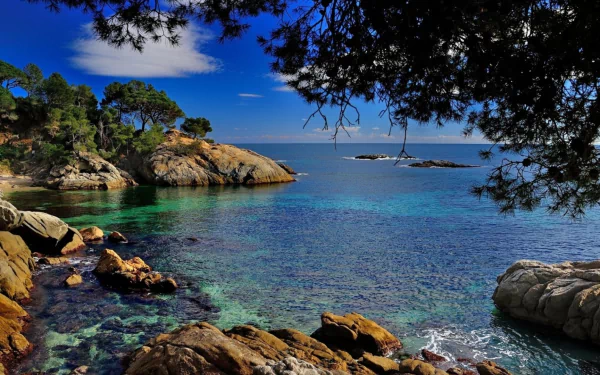 Crystal-clear sea along the rocky coastline of Catalonia, Spain, framed by lush trees under a vibrant blue sky.