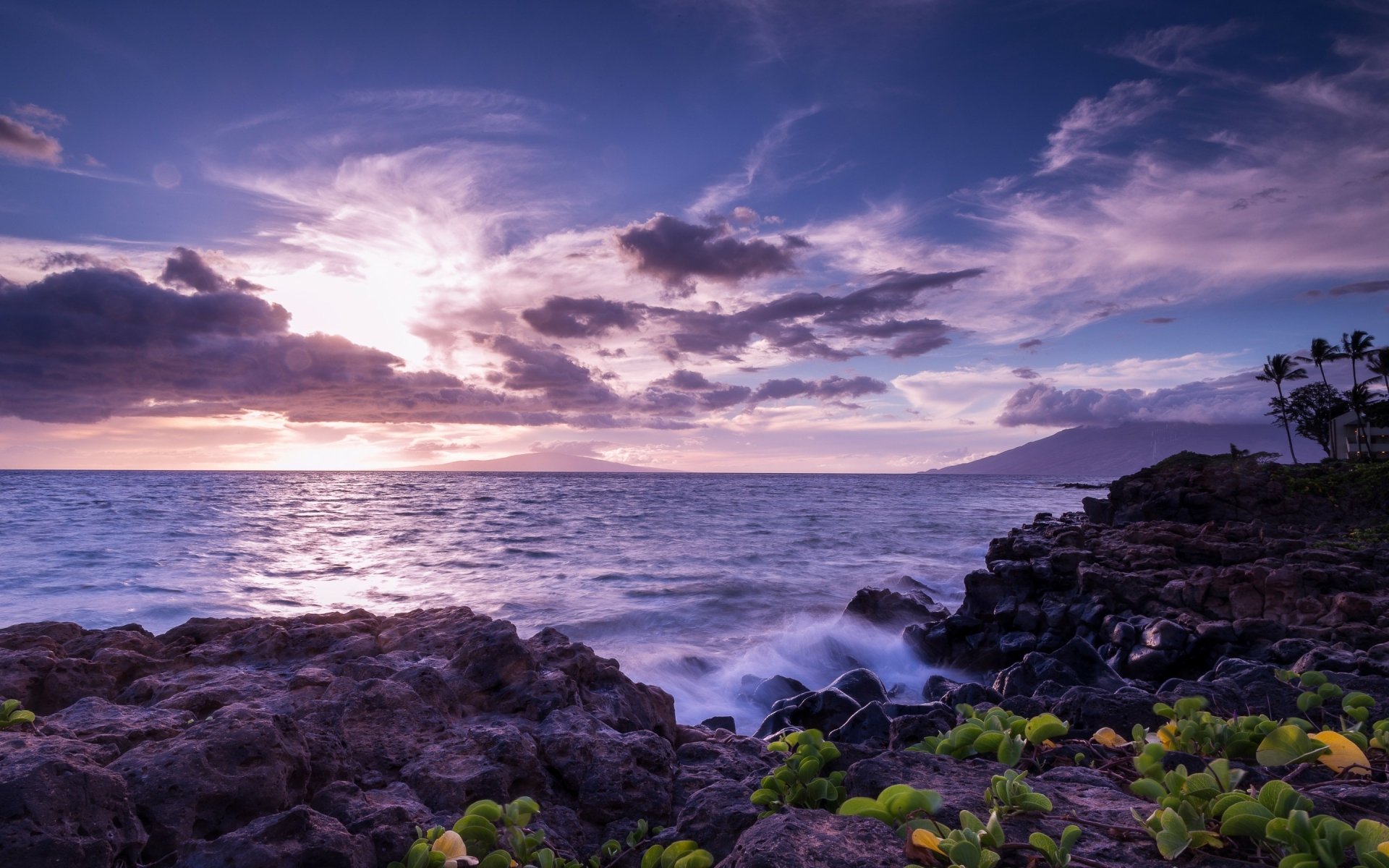 2K Quad HD PC desktop wallpaper and background — nature coastline scene: purple-pink sunrise, waves breaking on rocky shore with foreground greenery.
