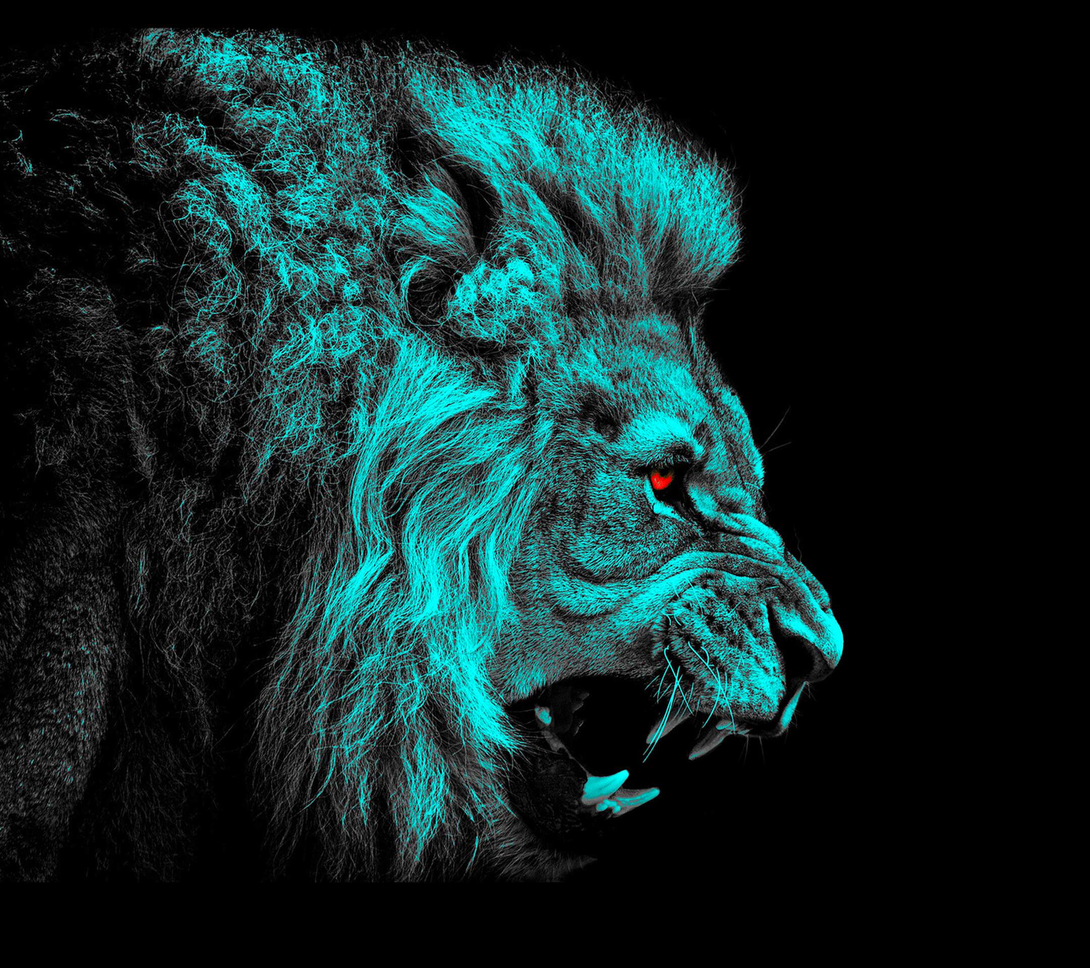 lion wallpaper 1920x1080