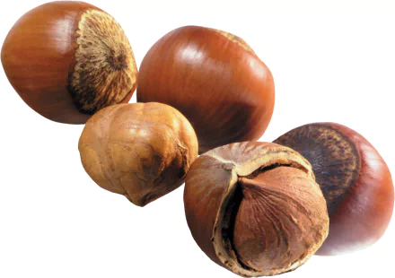 food hazelnut HD Desktop Wallpaper | Background Image