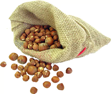 food hazelnut HD Desktop Wallpaper | Background Image