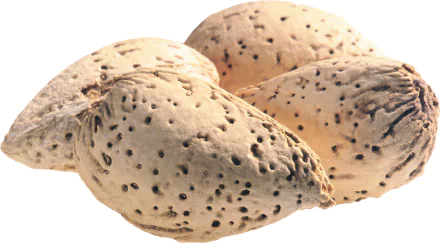 Close-up of textured almond shells, showcasing their unique patterns. This HD image serves as an appealing desktop wallpaper background for food enthusiasts.