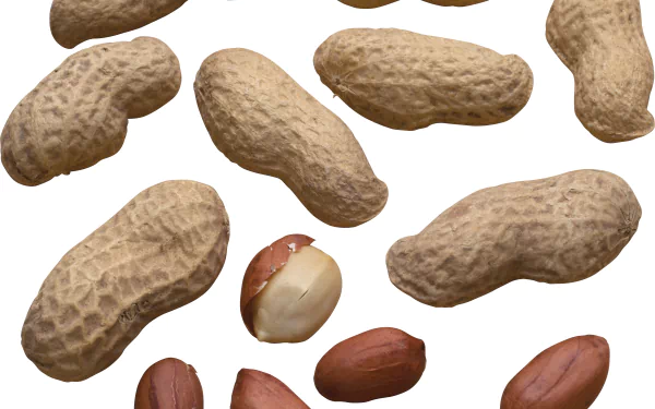 food peanut HD Desktop Wallpaper | Background Image