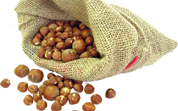 food hazelnut HD Desktop Wallpaper | Background Image