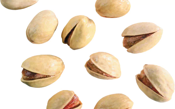food pistachio HD Desktop Wallpaper | Background Image