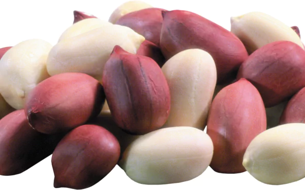 HD PC desktop wallpaper background: close-up food image of red-skinned and blanched peanuts piled together.