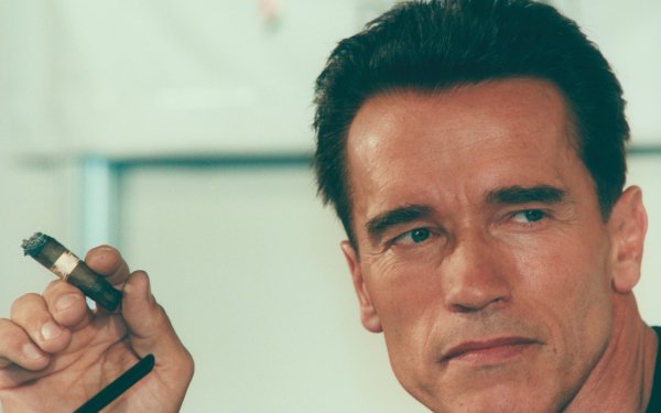 Celebrity Arnold Schwarzenegger HD Wallpaper | Background Image