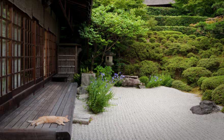 HD PC desktop wallpaper of a serene, man-made rock garden featuring neatly raked white gravel, lush greenery, and a wooden veranda with a resting cat.