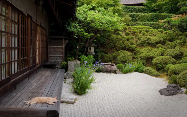  Japanese Garden with Cat