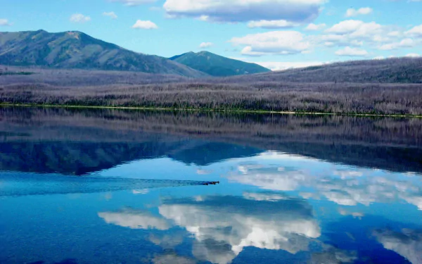 HD desktop wallpaper of Lake McDonald showcasing a serene landscape with clouds and sun reflected on the calm water surrounded by nature and distant mountains.