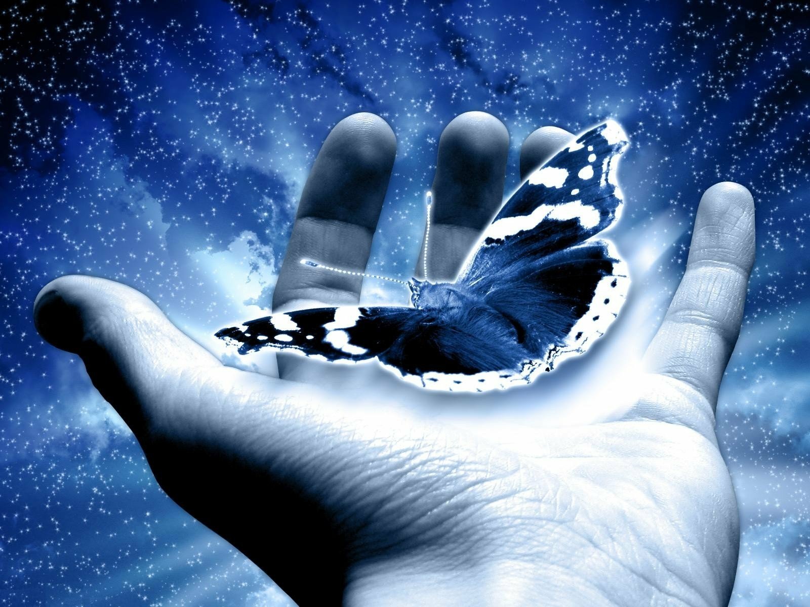 A stunning HD desktop wallpaper of a hand gently cradling a butterfly against a starry blue background, capturing the delicate beauty of nature.