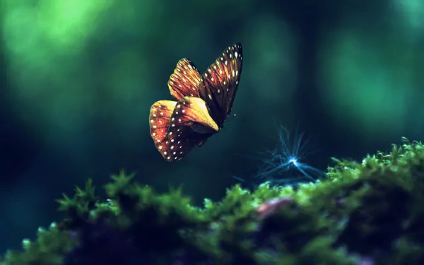 HD desktop wallpaper featuring a vibrant butterfly in flight above a lush green mossy background, capturing a serene and enchanting scene.