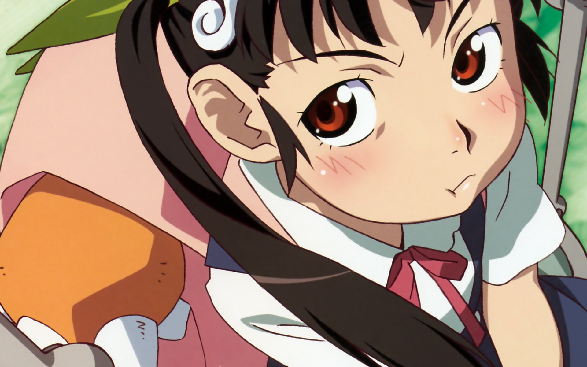 HD PC desktop wallpaper featuring Mayoi Hachikuji from the Monogatari anime series, showcasing her distinctive hair clips and expressive eyes.