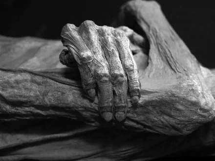 dark mummy HD Desktop Wallpaper | Background Image