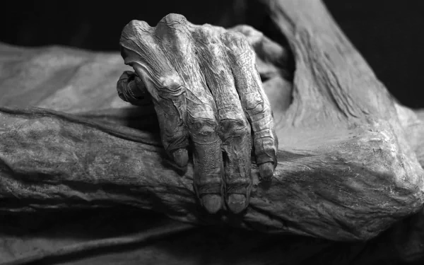 dark mummy HD Desktop Wallpaper | Background Image