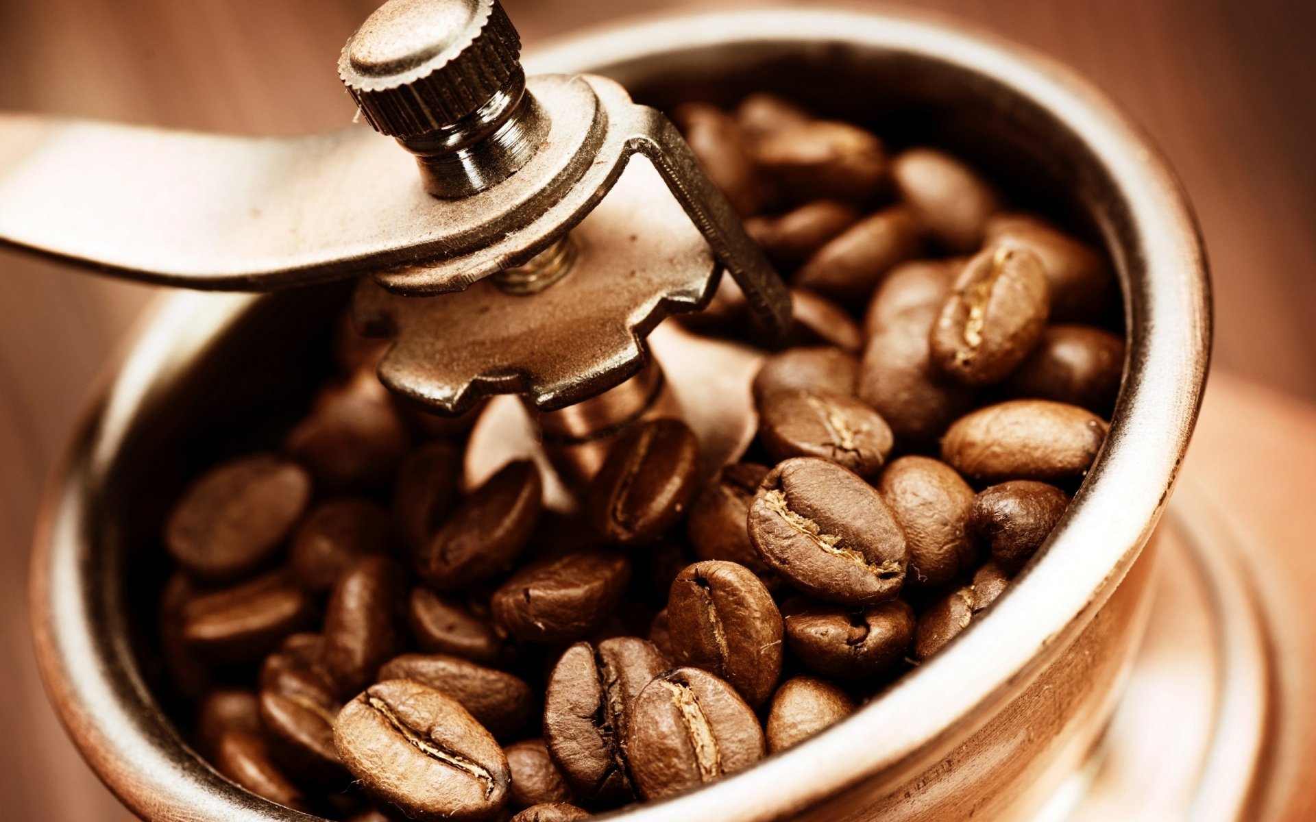 Close-up of roasted coffee beans in a metal grinder, warm tones — 2K Quad HD PC desktop wallpaper/background; food, coffee.