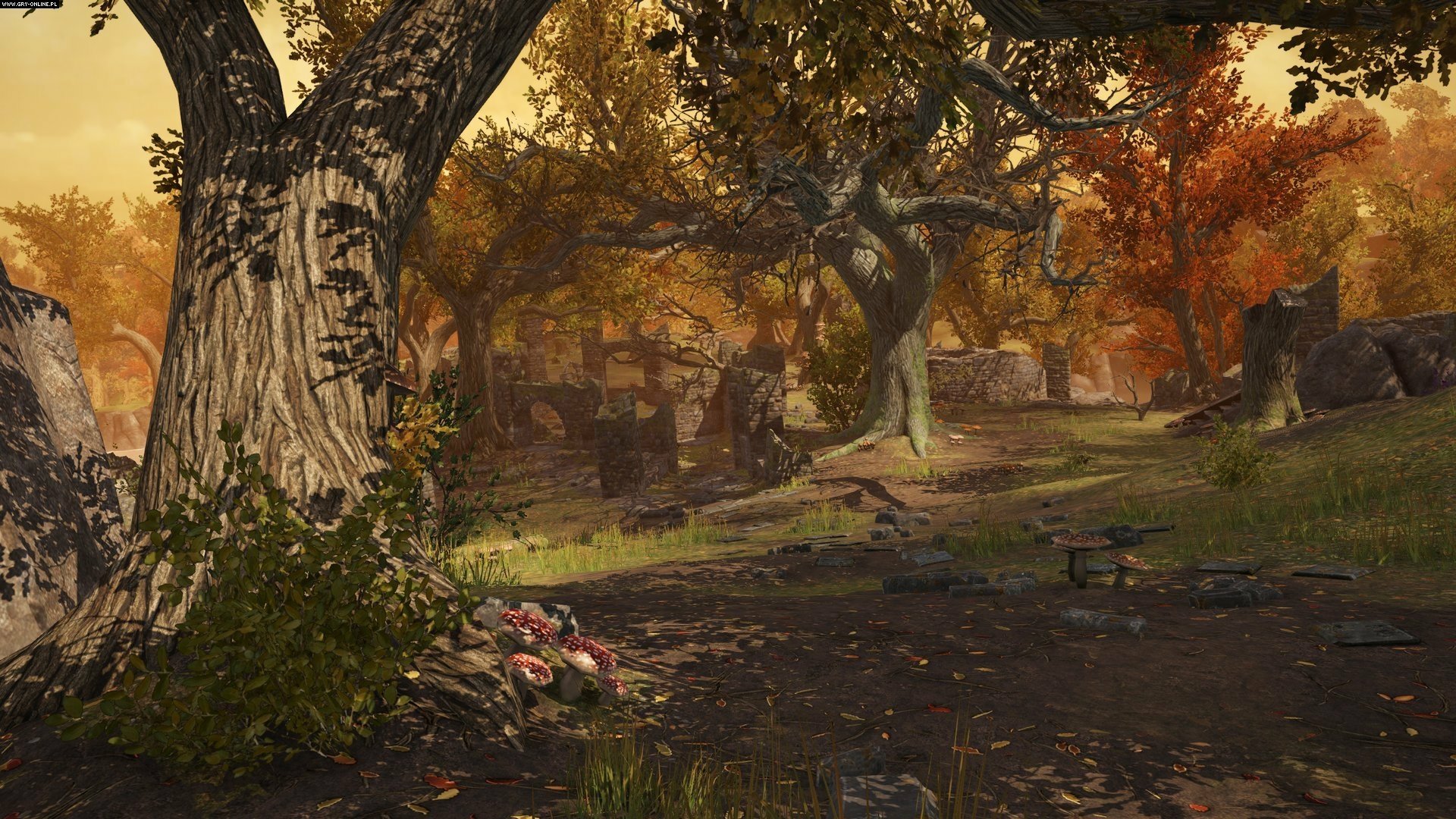 Download Video Game War Of The Vikings HD Wallpaper