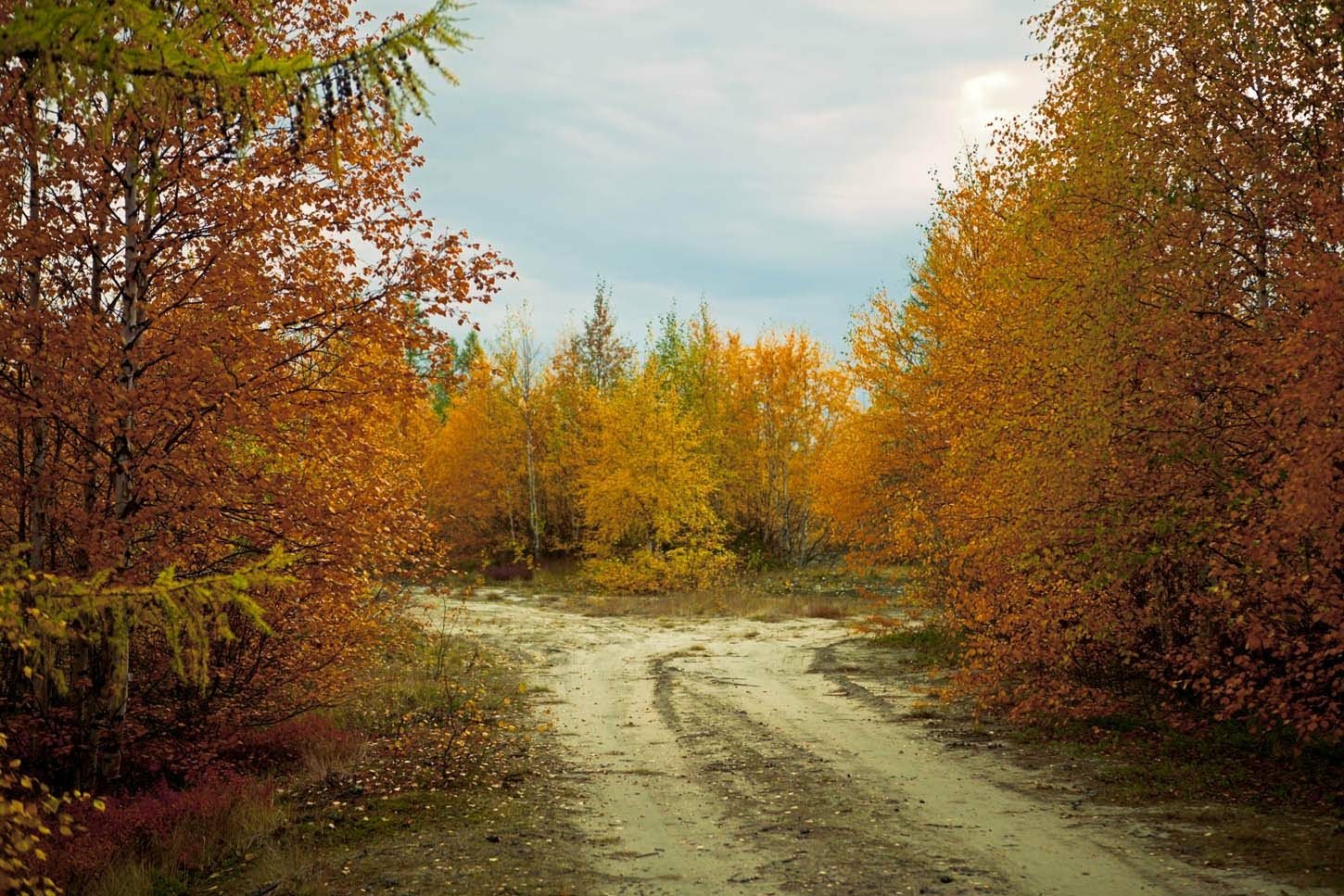 Download Nature Path Wallpaper by Vasiliy_s58