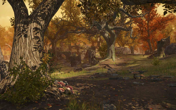 video game War of the Vikings HD Desktop Wallpaper | Background Image