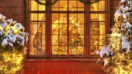 HD wallpaper of a warmly lit window with a Christmas tree and festive lights, framed by snow-covered branches.