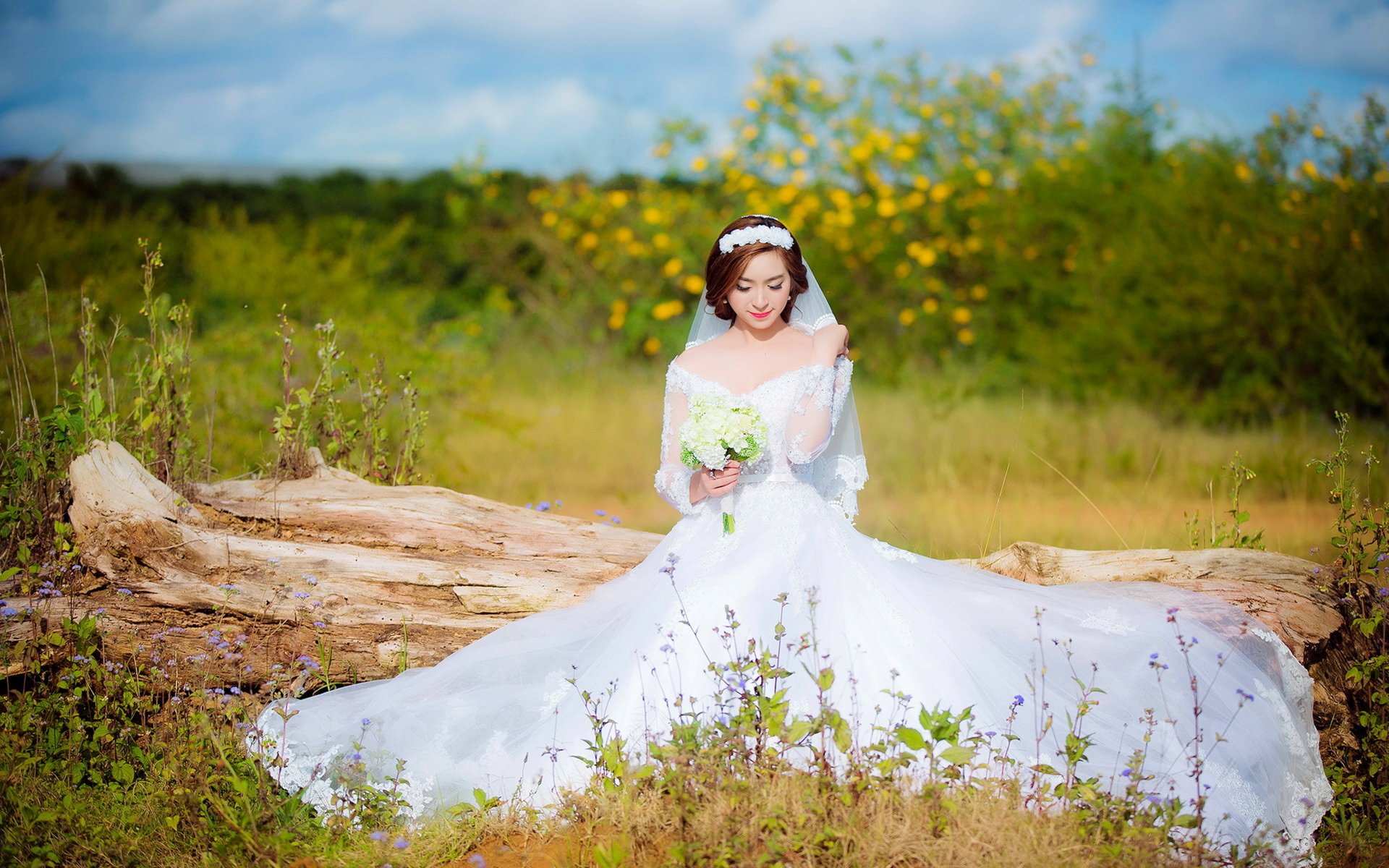 Bride 4k Ultra Hd Wallpaper And Background Image 3840x2400 Id459644 0360