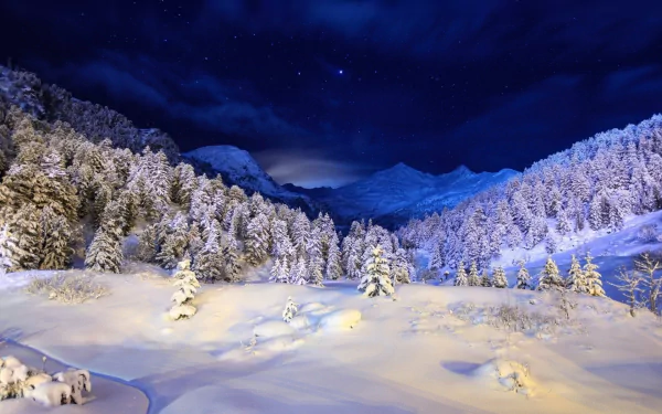 HD desktop wallpaper of a serene winter landscape, featuring snow-covered trees under a starlit sky with mountains in the background.