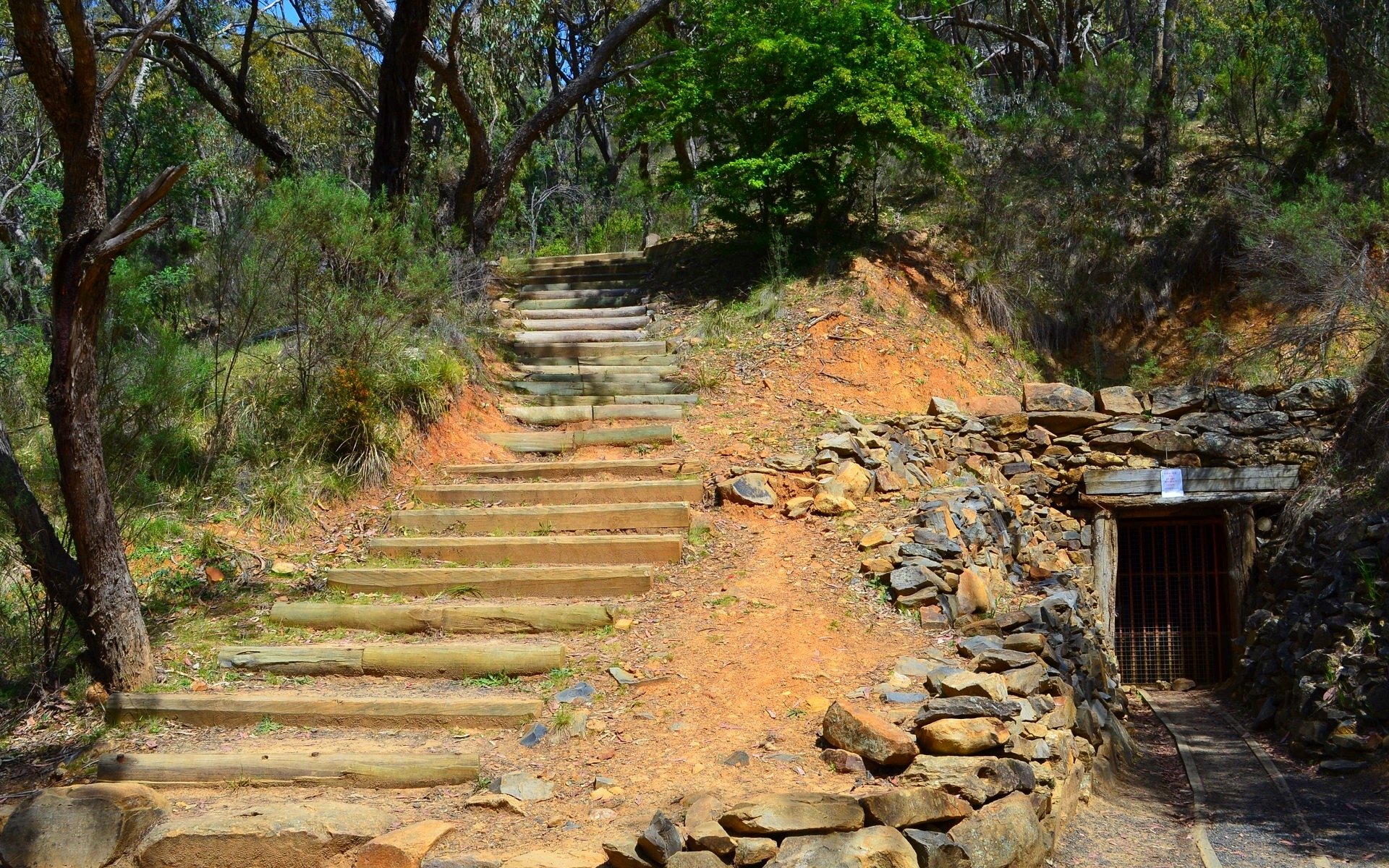 Man-made steps ascend through bushland near the entrance of Bald Hill Mine in Australia, captured in this HD desktop wallpaper and background.