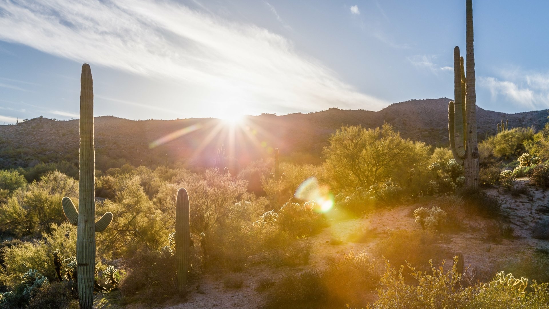4K Ultra HD PC desktop wallpaper: desert landscape at sunrise, saguaro cacti and scrub silhouetted against mountains with golden sunlight and lens flare.