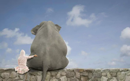 2K Quad HD PC desktop wallpaper of an Asian elephant (animal) sitting on a stone wall beside a small child in a pink coat under a blue sky.