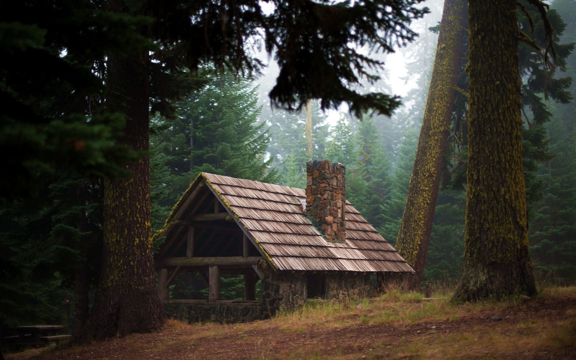 HD desktop wallpaper featuring a man-made cabin nestled among tall trees in a misty forest setting.