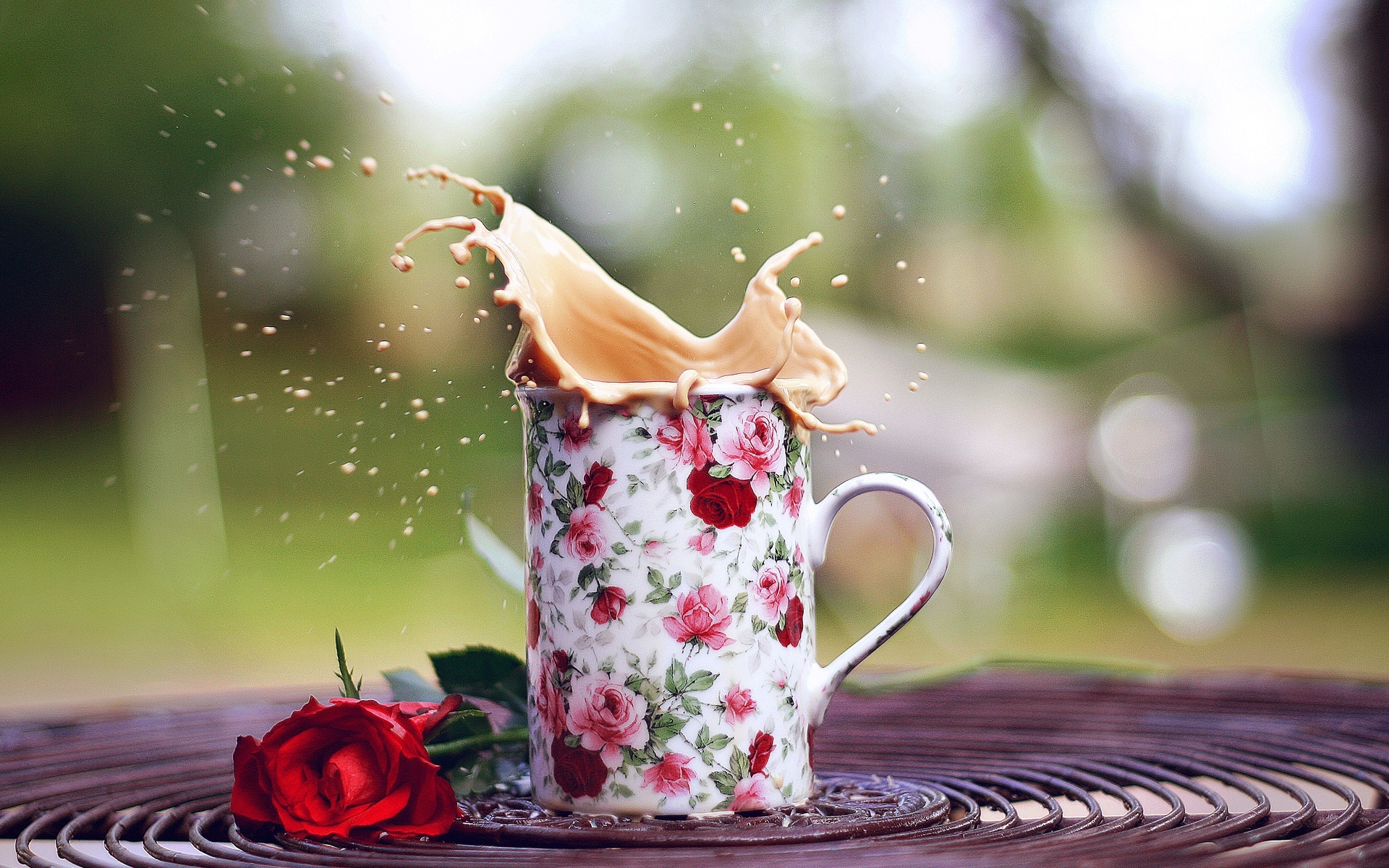 coffee flowers iphone wallpaper coffee hd wallpaper background image 1920x1200 id coffee flowers iphone wallpaper coffee hd wallpaper background image 1920x1200 id