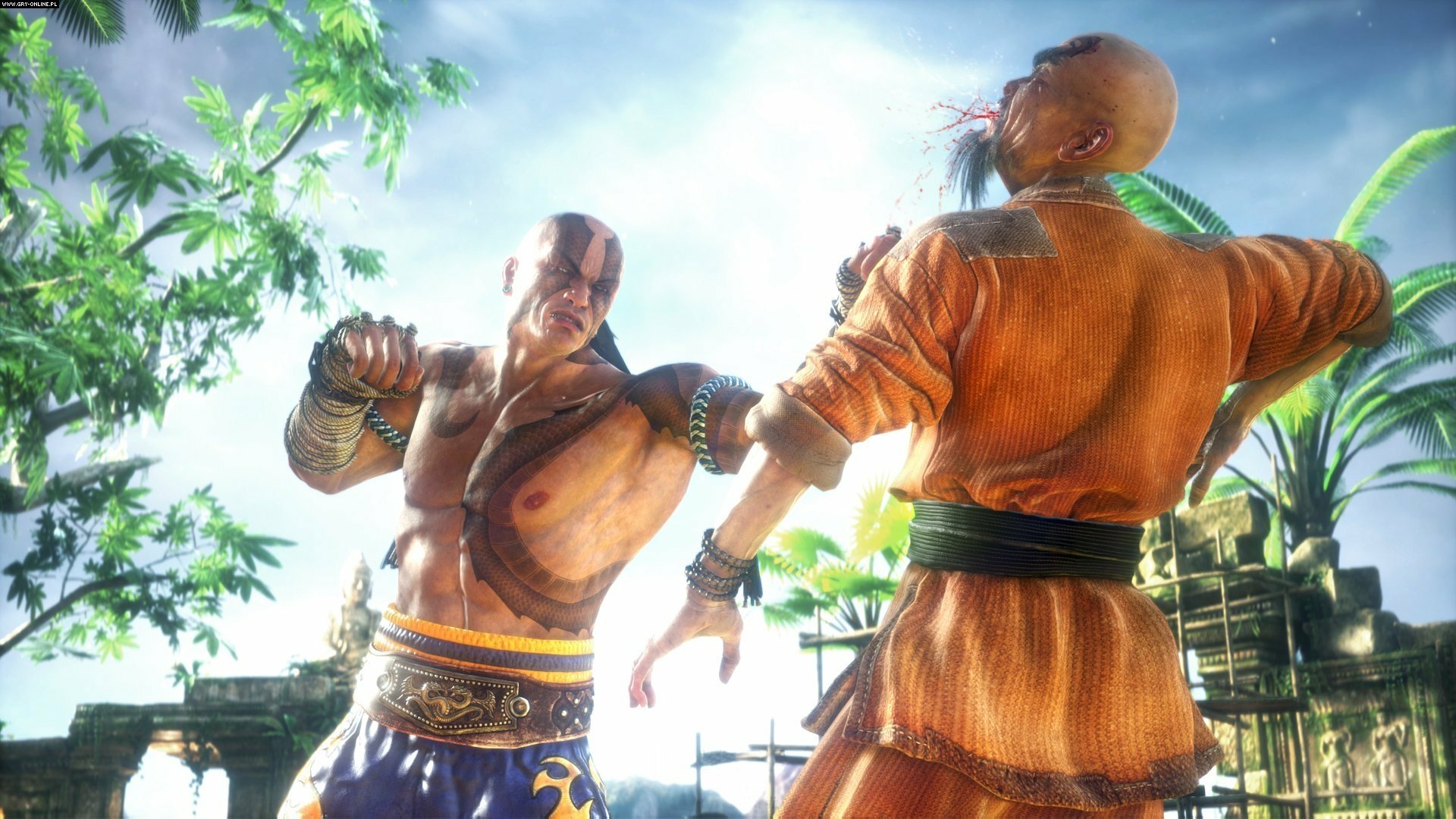 Download Video Game Fighter Within HD Wallpaper