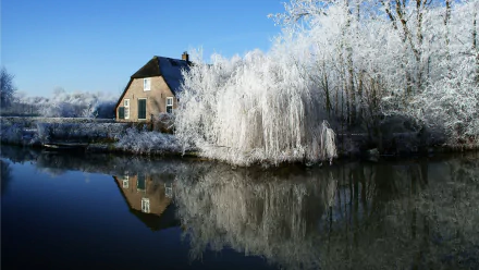 HD wallpaper of a frost-covered landscape in the Netherlands, featuring a house and trees reflected in a serene body of water.