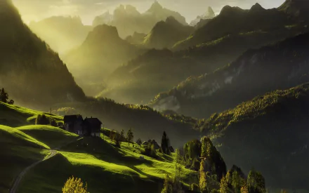 A tranquil scene of a fog-covered house surrounded by lush green trees and vibrant mountains, set in the enchanting Alps, capturing nature's serene beauty.