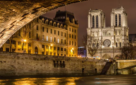 Night view of Notre-Dame de Paris illuminated by streetlights along the Seine, framed by an archway, captured in a high-definition desktop wallpaper.